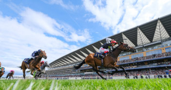 Bose Professional loudspeakers ensure audio is clear throughout the grandstand, while keeping the racecourse out of the audio zone